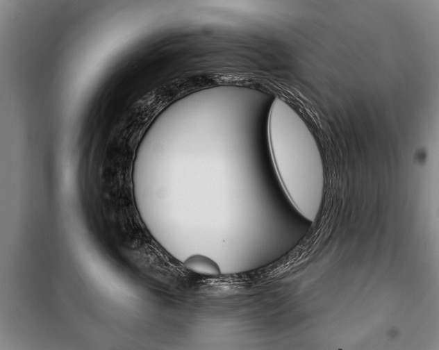 X0000101200763200806270830