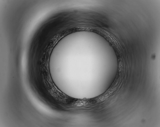 X0000101200764200806270830