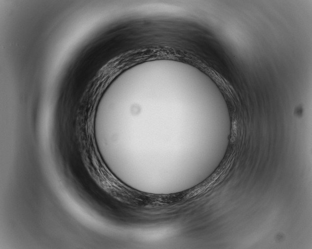 X0000101200765200806270830