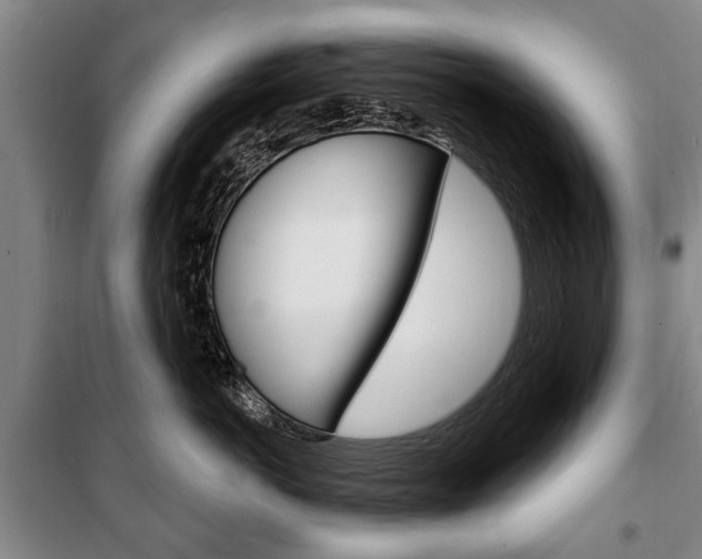 X0000101200766200806270830