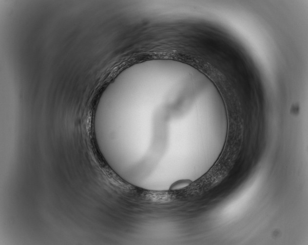 X0000101200767200806270830