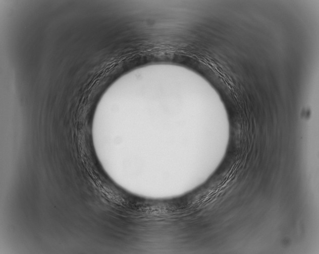 X0000101200769200806270829