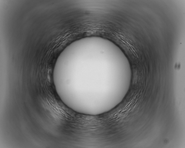 X0000101200770200806270829