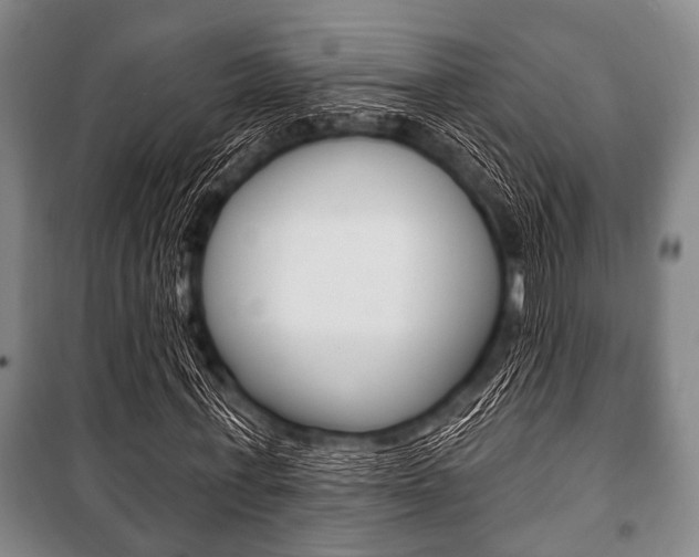 X0000101200771200806270829