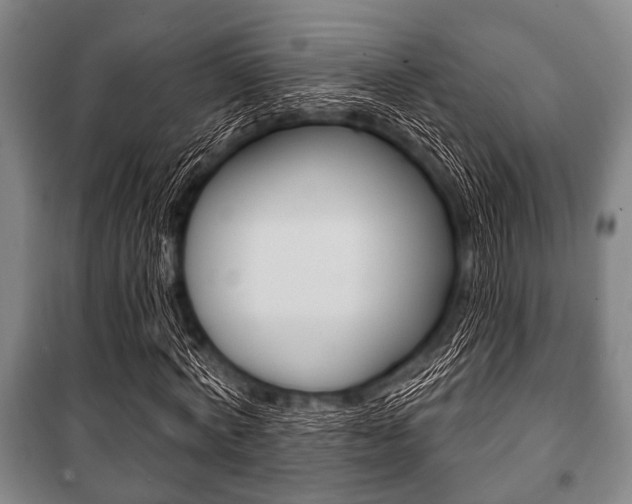X0000101200772200806270829