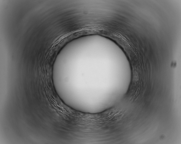 X0000101200773200806270829