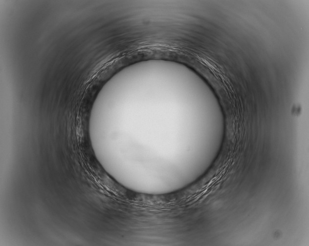 X0000101200774200806270829
