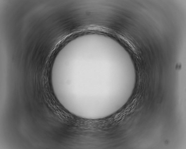 X0000101200776200806270829