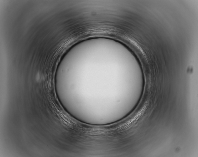 X0000101200777200806270829