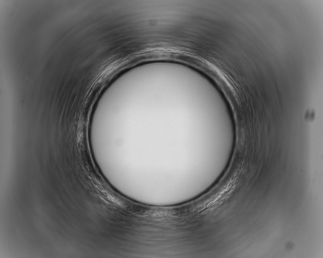 X0000101200778200806270829