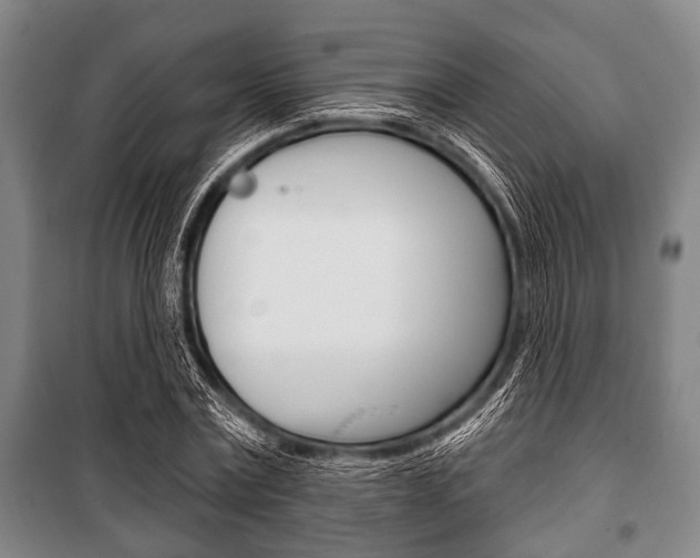 X0000101200779200806270829