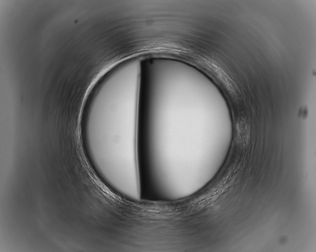 X0000101200780200806270829