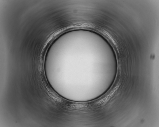 X0000101200781200806270829