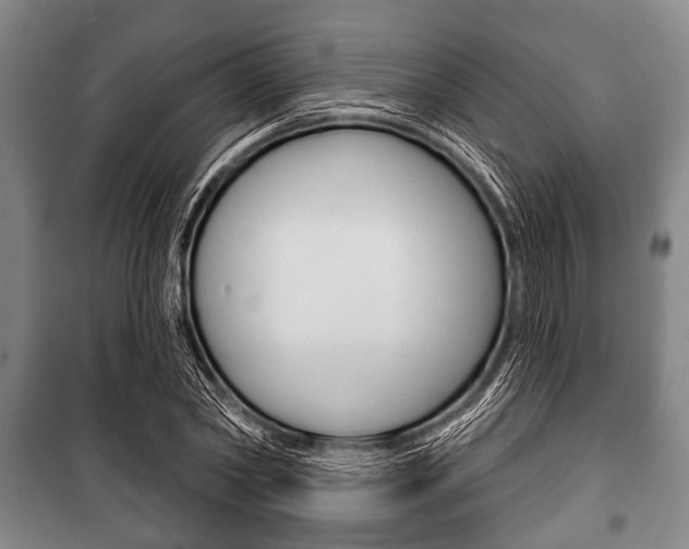 X0000101200782200806270829