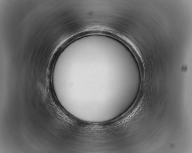 X0000101200783200806270829