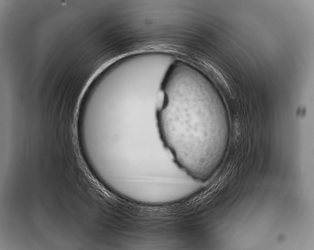 X0000101200784200806270829