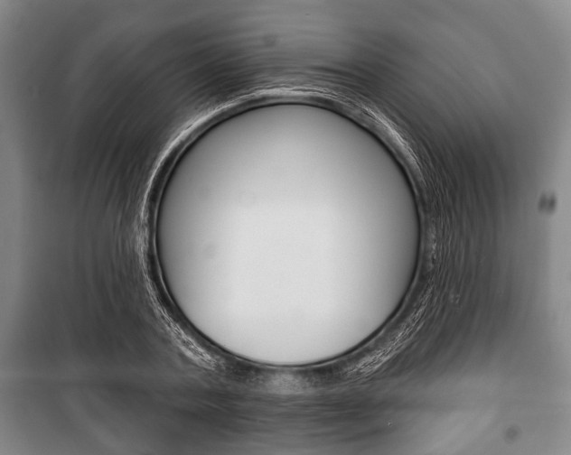 X0000101200787200806270829