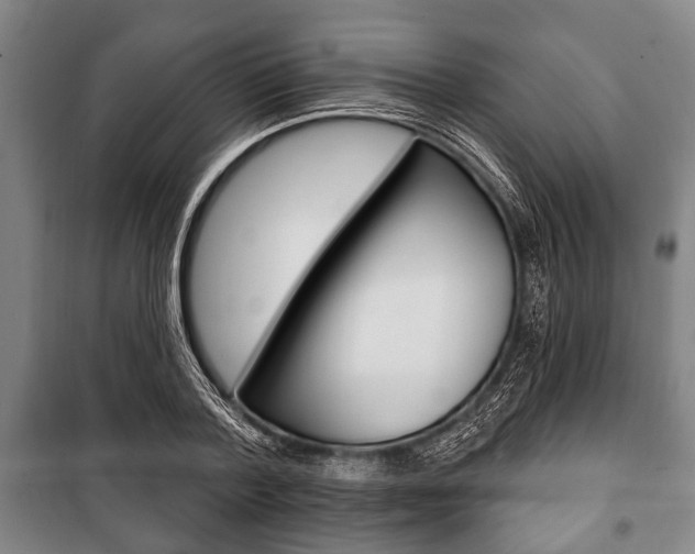 X0000101200788200806270829