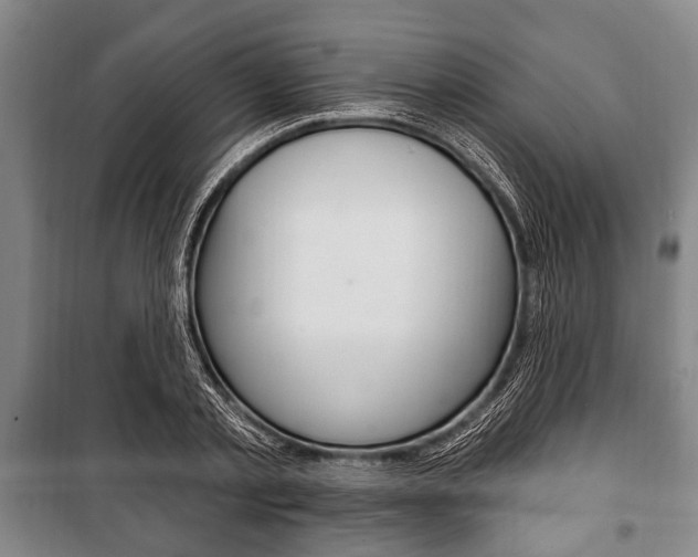 X0000101200789200806270829