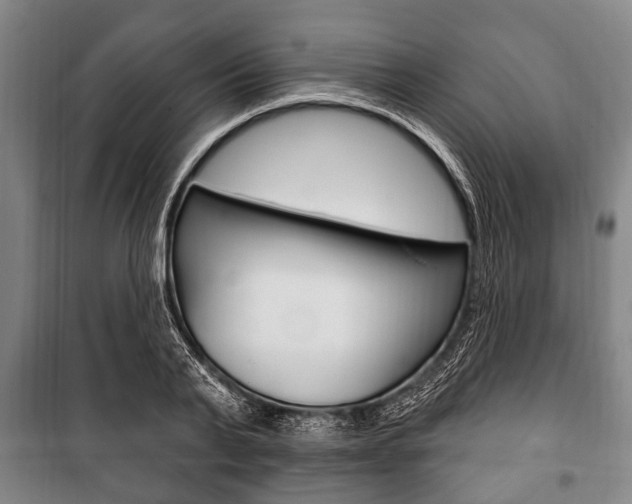 X0000101200791200806270829
