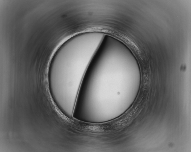 X0000101200792200806270829