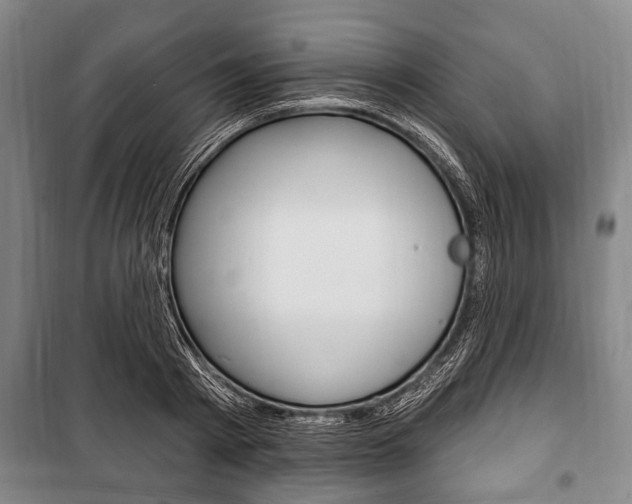 X0000101200793200806270829