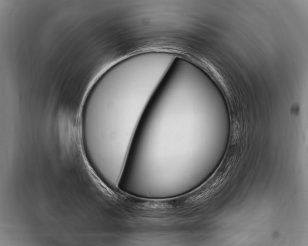 X0000101200795200806270829