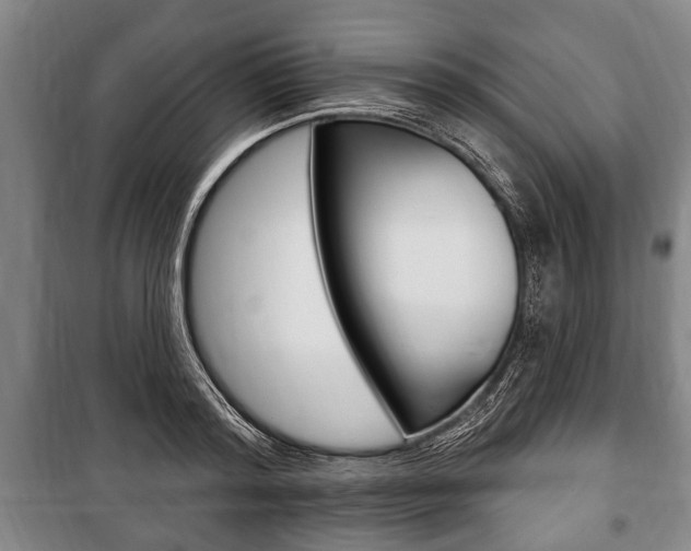 X0000101200796200806270829