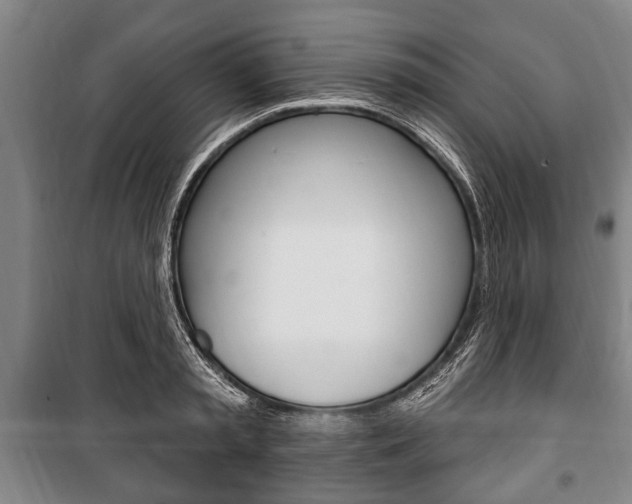 X0000101200797200806270829