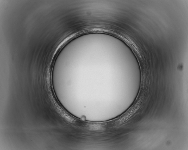 X0000101200798200806270829