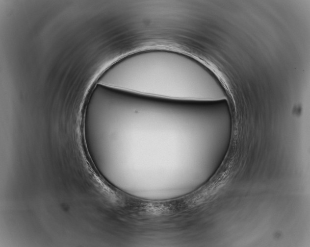X0000101200799200806270828