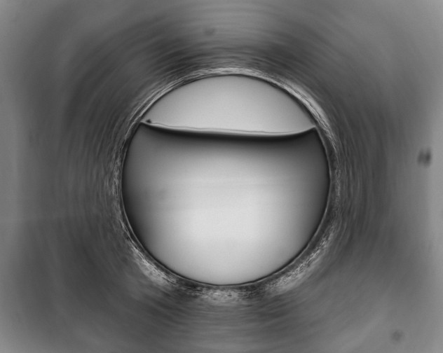 X0000101200801200806270828