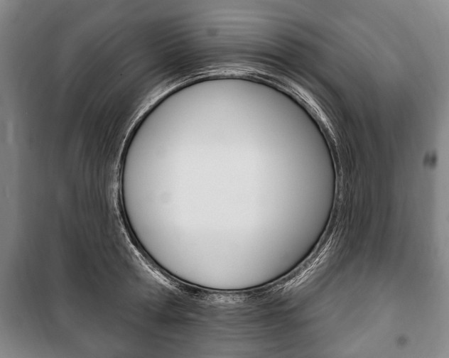 X0000101200802200806270828