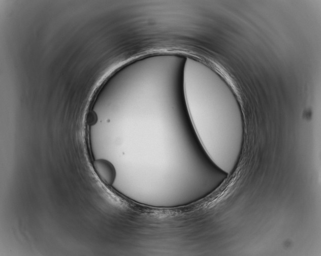 X0000101200803200806270828