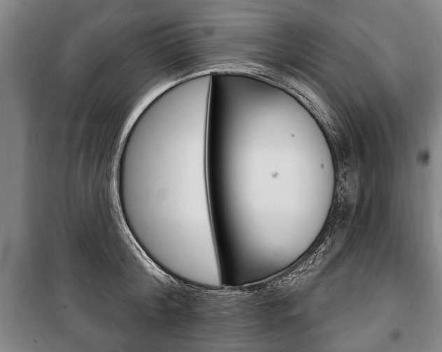 X0000101200804200806270828