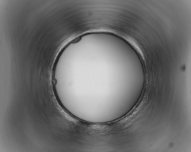 X0000101200805200806270828