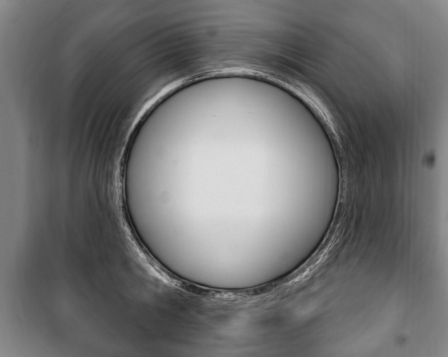 X0000101200806200806270828