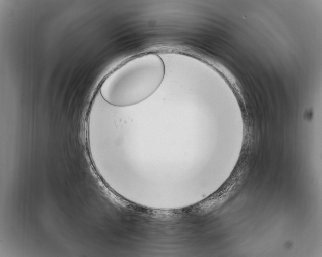 X0000101200807200806270828