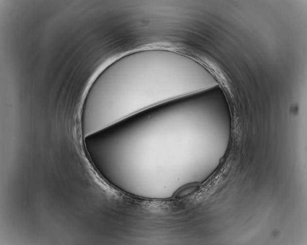 X0000101200808200806270828