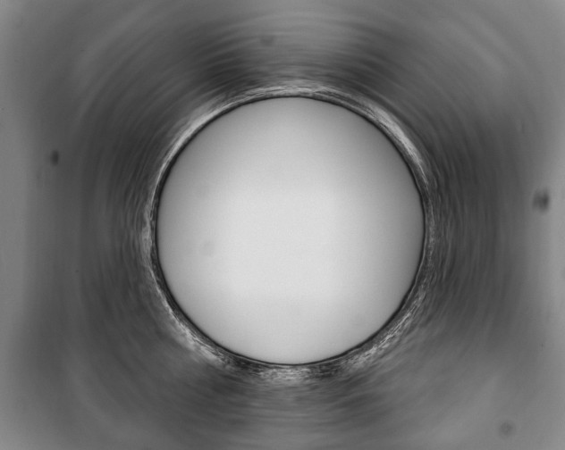 X0000101200810200806270828