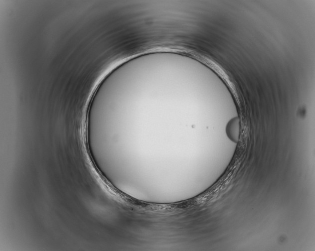X0000101200811200806270828