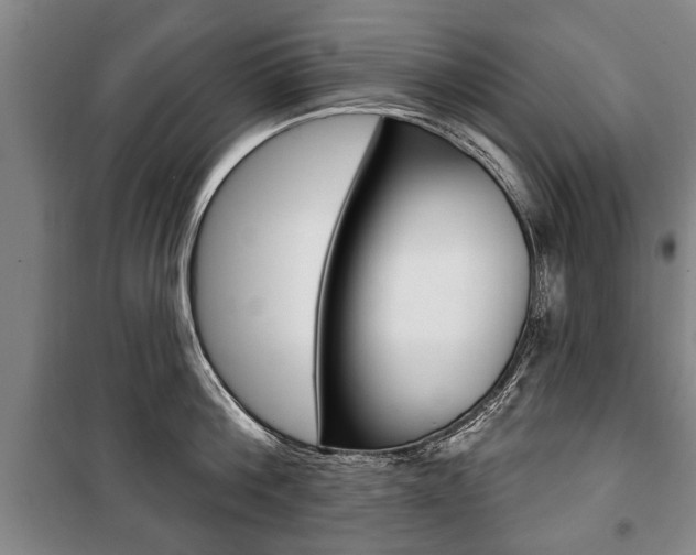 X0000101200812200806270828