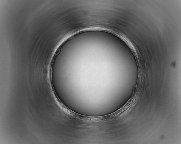 X0000101200813200806270828