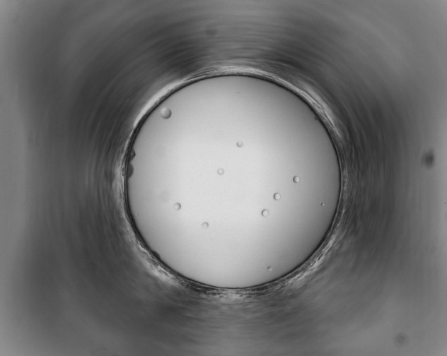 X0000101200814200806270828