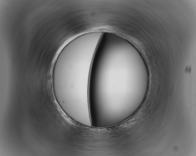 X0000101200816200806270828