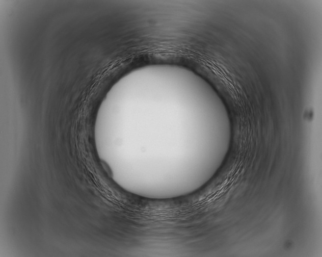 X0000101200817200806270827