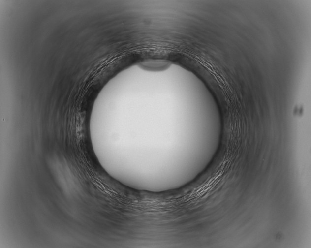 X0000101200818200806270827