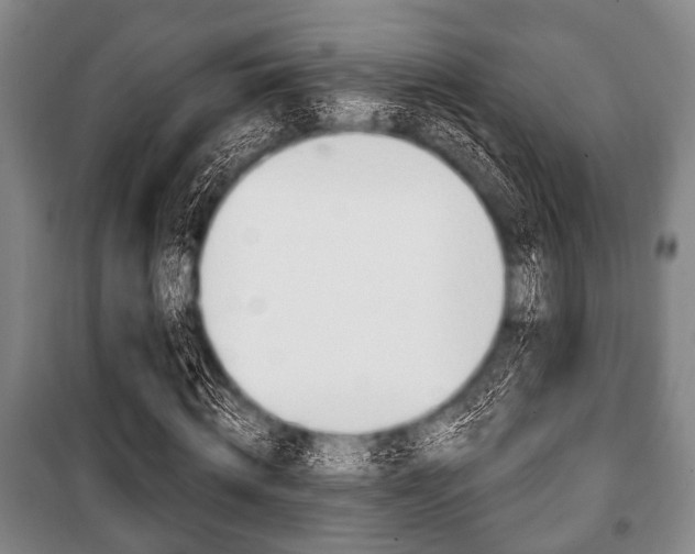 X0000101200820200806270827