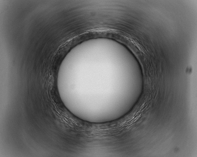 X0000101200821200806270827