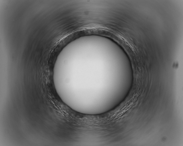 X0000101200822200806270828